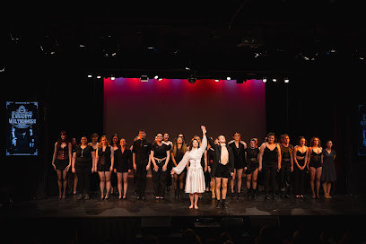 Academy of Music and Performing Arts (AMPA) | Surry Hills