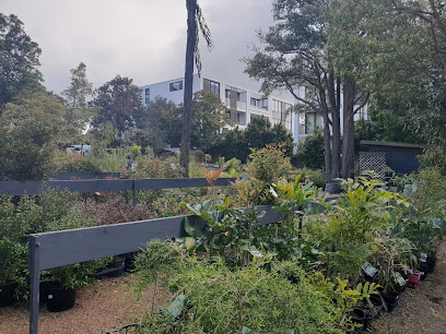 Photo of Sydney Wildflower Nursery