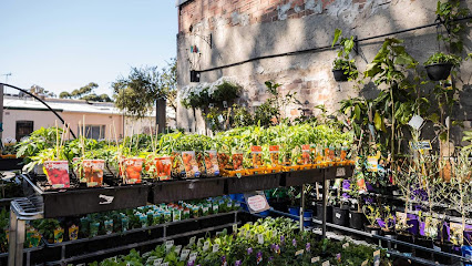 Photo of Newtown Garden Market