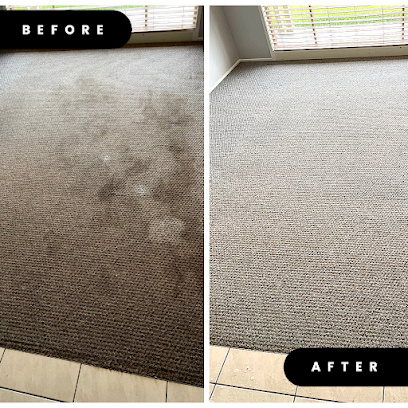 Photo of The Carpet Cleaning and Pest Control King