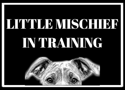 Photo of Little Mischief K9