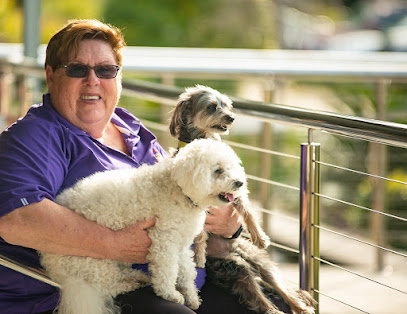 Photo of Barkers In Balance - Dog Training - Puppy Training