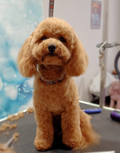 Photo of The Smiling Pup Parlour