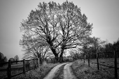HCN Law