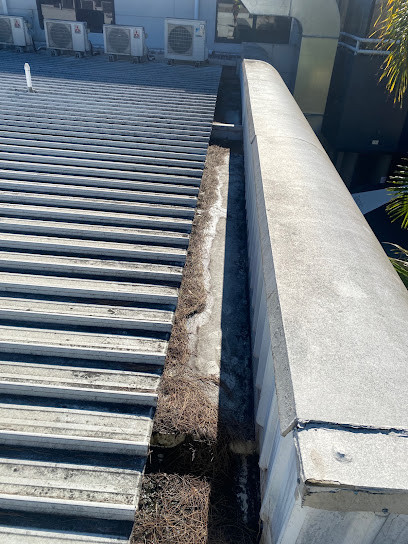 Gutter-Vac