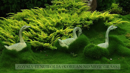 Tranquil Havens