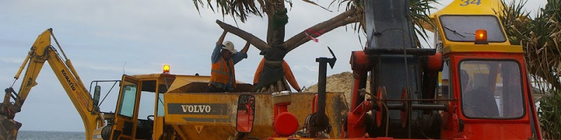 Jackson Tree Services
