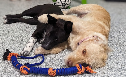 Dogz Only Doggy Daycare, Training & Grooming