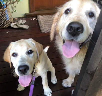 Happy Dogs