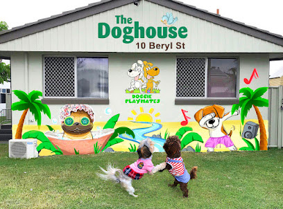 Photo of Doggie Playmates Daycare & Grooming, Tweed Heads
