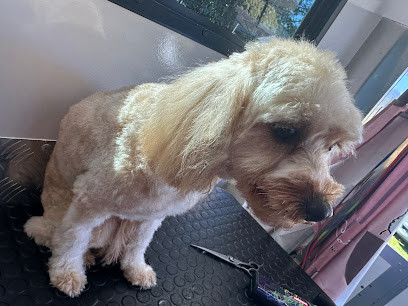 Doggy Diva Grooming