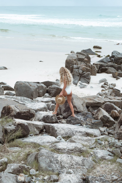 Ozzy Palms