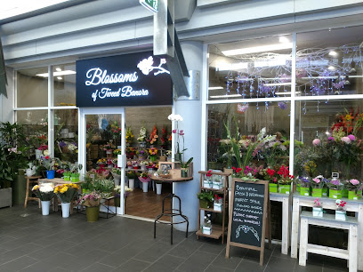 Photo of Blossoms Of Tweed Banora