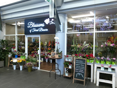 Blossoms Of Tweed Banora