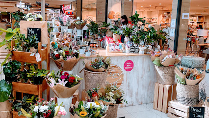 Nativa Floral