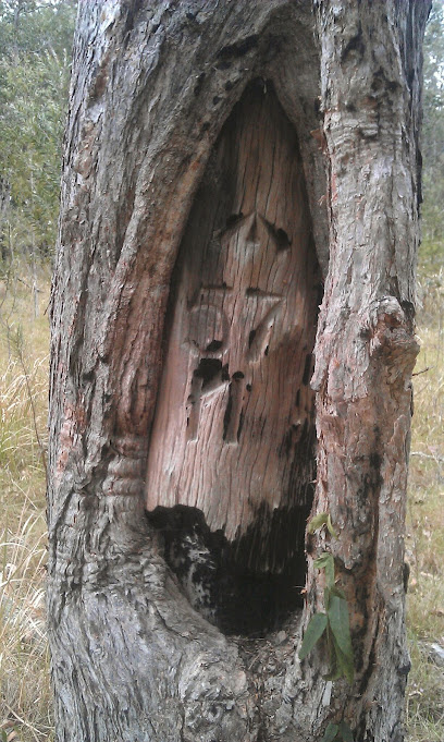 Photo of B&P Surveys