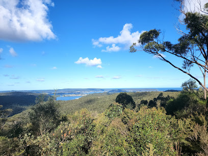 Staples Lookout