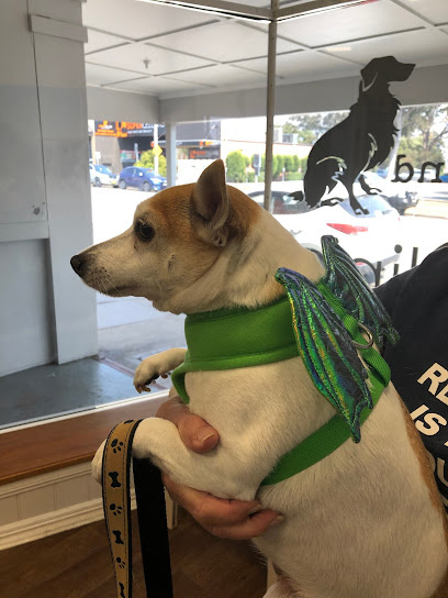 Photo of East Maitland Veterinary Clinic