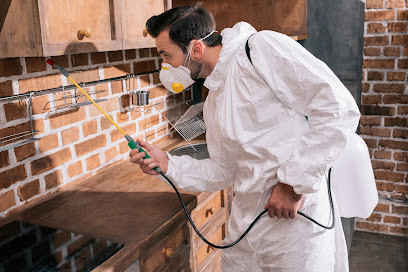 Maitland Pest Exterminators