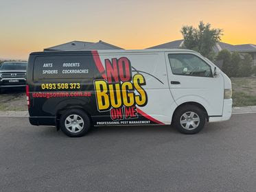 No Bugs On Me