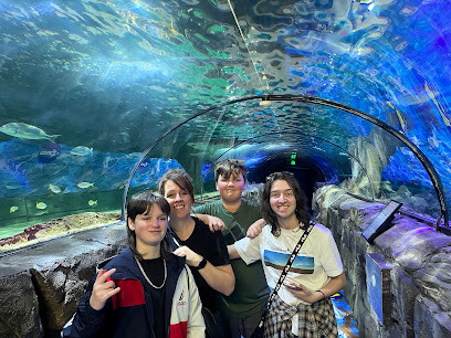 SEA LIFE Sydney Aquarium