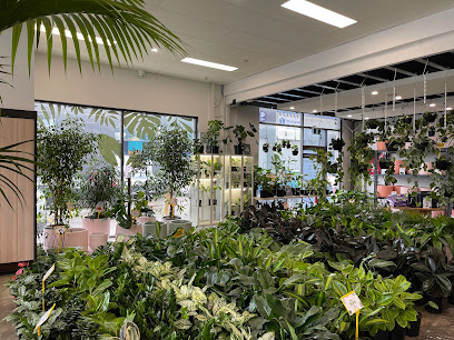 Photo of Melbourne Indoor Plants
