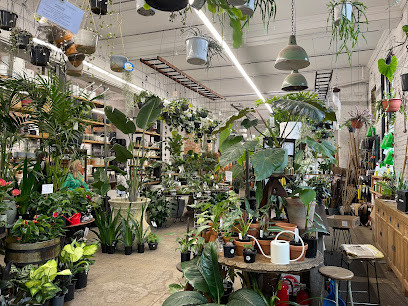 Fitzroy Nursery