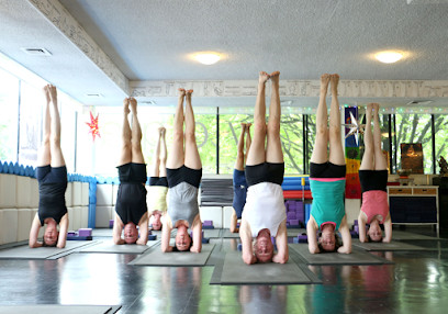 Yogareal Yoga Studio - Albert Park