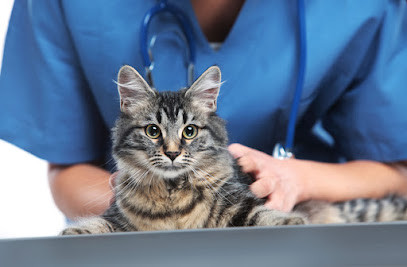 Melbourne Cat Vets