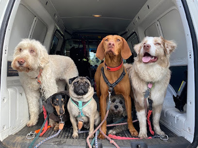 Dogs of Melbourne