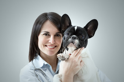 Sydney Animal Hospitals
