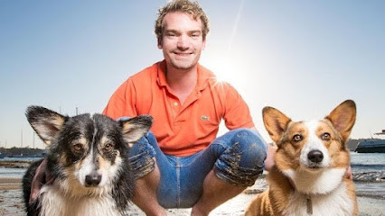 Southern Cross Vet Inner West