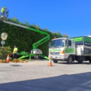 Photo of Melbourne Tree Specialists