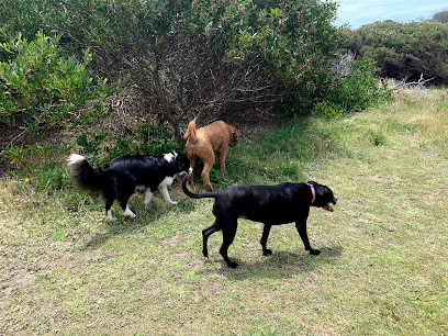 Tails on Trails