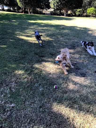 City Sniffers Dog Walking Sydney