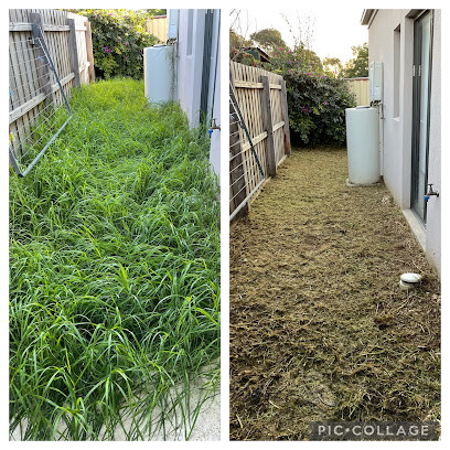 Mohan Lawn Mowing - Commercial sites, Factories & Warehouse Garden Maintenance