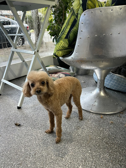 Circle of Fluff Dog Grooming