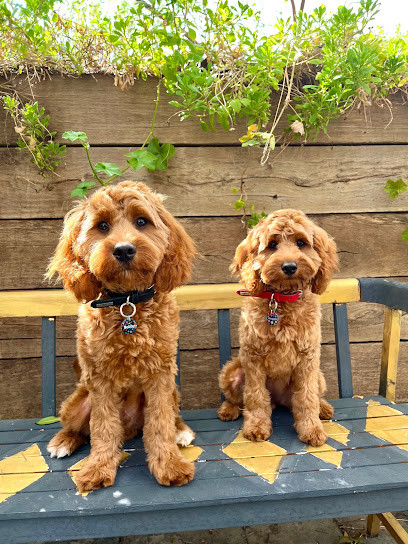 Superb Dog Grooming