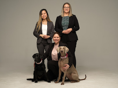 The Family Lawyer