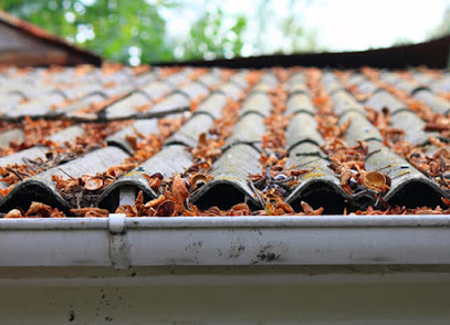 Photo of Roof Gutter Cleaning Melbourne
