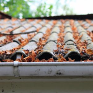 Photo of Roof Gutter Cleaning Melbourne