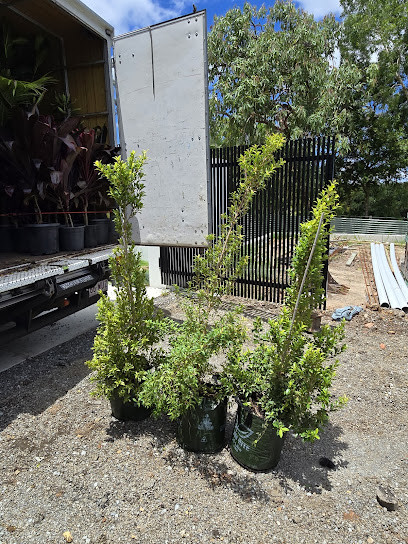 Brisbane Plant Nursery