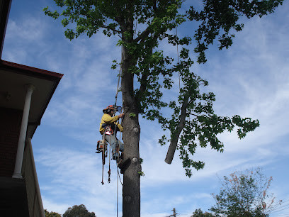 Terrys Trees