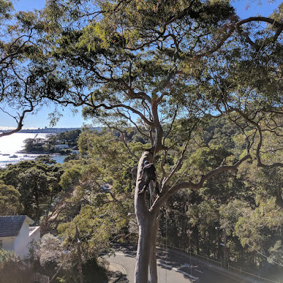 JW Tree Services
