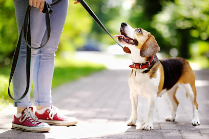 Brisbane Dog Walkers