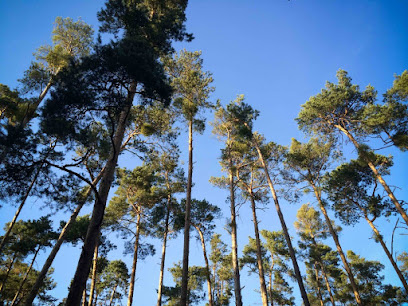 Photo of Brisbane Treeworx
