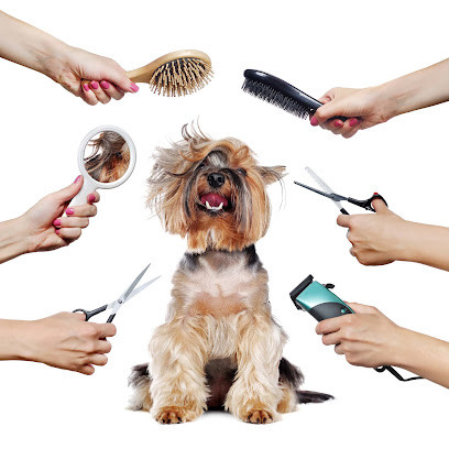 Ruff Ruff Dog Grooming & Daycare