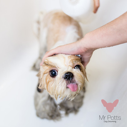 Mr Potts dog grooming