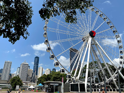 The Wheel of Brisbane