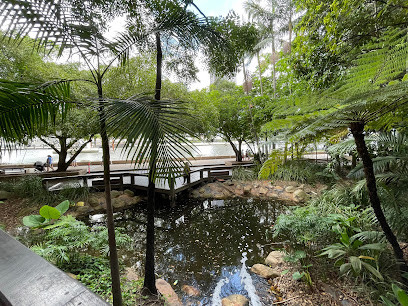 Rainforest Walk